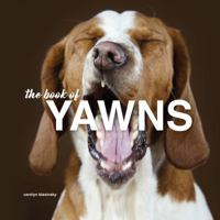 The book of YAWNS 0692112200 Book Cover