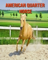 American Quarter Horse: Beautiful Pictures & Interesting Facts Children Book About American Quarter Horse B08KH1359Q Book Cover