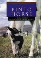 The Pinto Horse (Learning About Horses) 1560652985 Book Cover
