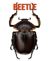 Beetle: Fun Learning Facts About Beetle B08KJ7SPP2 Book Cover