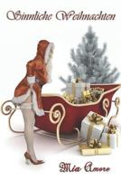 Sinnliche Weihnachten: So erotisch war Weihnachten noch nie! 1790638380 Book Cover