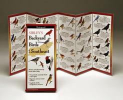 Sibley's Backyard Birds of the Southeast 1935380109 Book Cover