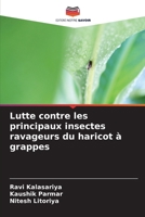Lutte contre les principaux insectes ravageurs du haricot à grappes (French Edition) 620940779X Book Cover