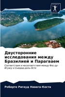 Двусторонние исследования между Бразилией и Парагваем: Соответствия и несоответствия между Фос-ду-Игуасу и Сьюдад-дель-Эсте 620365115X Book Cover