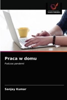 Praca w domu: Podczas pandemii 6203676640 Book Cover