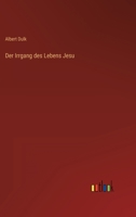 Der Irrgang des Lebens Jesu 3368608177 Book Cover