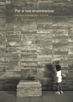 Por si nos encontramos (Spanish Edition) 987360779X Book Cover
