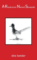 A Roadrunner Named Slowpoke: There is no beginning there is no end there is only continuum B0BRDFWPGG Book Cover