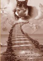 DREAMS REALLY DO COME POO 0244731314 Book Cover