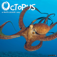 2026 Octopus 12 x 12 Wall 1549256025 Book Cover