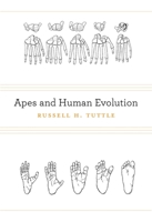 Apes and Human Evolution 0674073169 Book Cover