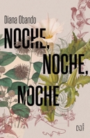 Noche, Noche, Noche / Night, Night, Night (Spanish Edition) 6076411481 Book Cover