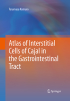 Atlas of Interstitial Cells of Cajal in the Gastrointestinal Tract 9400729162 Book Cover