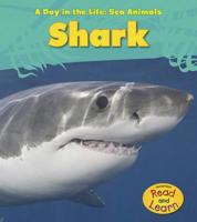 Shark 1432940104 Book Cover