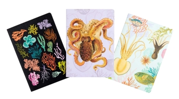 Art of Nature: Under the Sea Sewn Notebook Collection (Set of 3) 1647223849 Book Cover