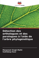 Détection des orthologues et des paralogues à l'aide de l'arbre phylogénétique (French Edition) 6208405785 Book Cover