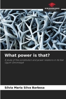 What power is that? 3330037423 Book Cover