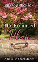 The Promised Plan 1733934278 Book Cover