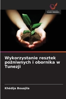 Wykorzystanie resztek pozniwnych i obornika w Tunezji (Polish Edition) 620975287X Book Cover