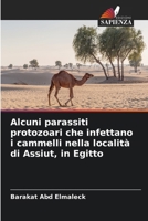 Alcuni parassiti protozoari che infettano i cammelli nella località di Assiut, in Egitto (Italian Edition) 6209953875 Book Cover