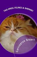 Two Angel Felines & Barnaby 1500472255 Book Cover