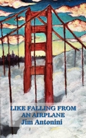 Like Falling from an Airplane 0578366460 Book Cover