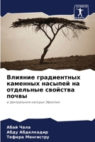 &#1042;&#1083;&#1080;&#1103;&#1085;&#1080;&#1077; &#1075;&#1088;&#1072;&#1076;&#1080;&#1077;&#1085;&#1090;&#1085;&#1099;&#1093; &#1082;&#1072;&#1084;& 6205259192 Book Cover