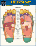 Reflexology: A Quickstudy Laminated Reference Guide 1423251687 Book Cover