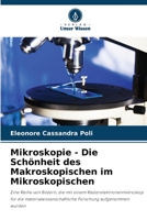 Mikroskopie - Die Schönheit des Makroskopischen im Mikroskopischen: Eine Reihe von Bildern, die mit einem Rasterelektronenmikroskop für die ... Forschung aufgenommen wurden 6206211576 Book Cover