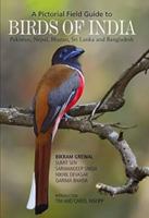 Birds of India: Pakistan, Nepal, Bhutan, Sri Lanka and Bangladesh 9380070225 Book Cover