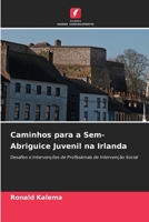 Caminhos para a Sem-Abriguice Juvenil na Irlanda 6209665055 Book Cover