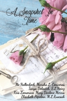 A Snapshot in Time 1705620817 Book Cover