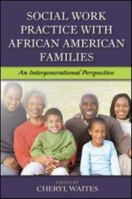 Social Work Practice with African-American Families 0789033925 Book Cover