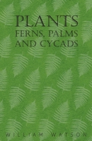 Plants - Ferns, Palms and Cycads 144652356X Book Cover