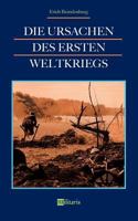 Die Ursachen des Ersten Weltkriegs 3963890150 Book Cover