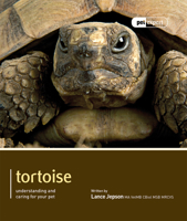 Tortoise - Pet Expert: Understanding and Caring for Your Pet 1907337148 Book Cover