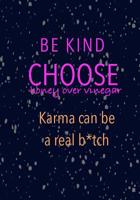 Be Kind Choose Honey over Vinegar Karma can be a real b*tch 1070915882 Book Cover