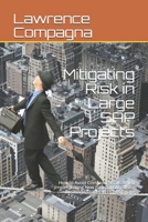 Mitigating Risk in Large SAP Projects: How to Avoid Common Pitfalls When Implementing New Functionality Using the World Leader in ERP Software B08F719HS6 Book Cover