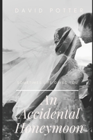 AN ACCIDENTAL HONEYMOON 9354591043 Book Cover