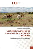 Les Espaces Agricoles et Pastoraux dans la Région de Zinder: Cas de la commune rurale de Bouné 6138476239 Book Cover
