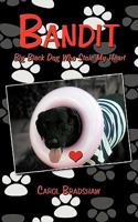 Bandit: Big Black Dog Who Stole My Heart 1438949928 Book Cover