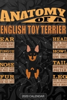 Anatomy Of A English Toy Terrier: English Toy Terrier 2020 Calendar - Customized Gift For English Toy Terrier Dog Owner 1679702130 Book Cover