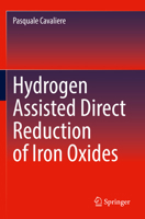 Hydrogen Assisted Direct Reduction of Iron Oxides 3030980553 Book Cover