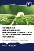 Повторное ... 6205961377 Book Cover
