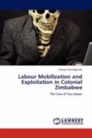 Labour Mobilization and Exploitation in Colonial Zimbabwe 3846595195 Book Cover