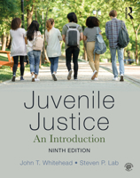 Juvenile Justice: An Introduction 0870849042 Book Cover