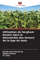Utilisation de Sorghum bicolor dans le biocontrôle des foreurs de la tige du maïs (French Edition) 6209942873 Book Cover