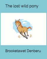 The Lost Wild Pony 1729642772 Book Cover