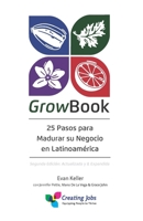 25 Pasos para Madurar Su Negocio en Latinoamérica: Segunda Edición: Actualizada y & Expandida 1733451986 Book Cover