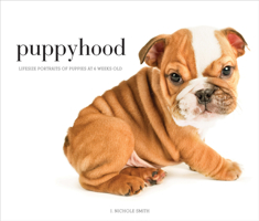 Puppyhood: Life-size Portraits of Puppies at 6 Weeks Old 1584799846 Book Cover
